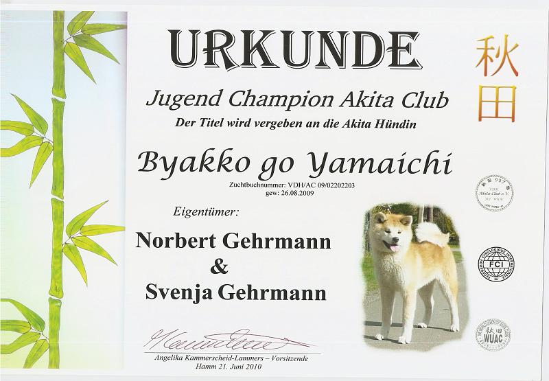 Jug_Ch_Akita_Club_Byakko.jpg - Jugend Champion Akita Club