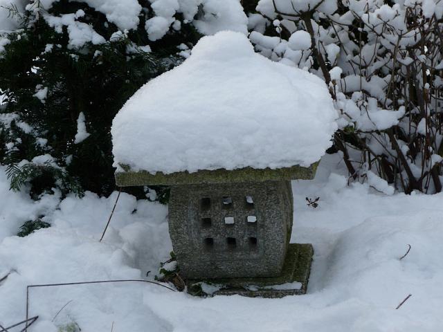 P1000793.JPG - Januar 2010 gab's schön viel Schnee!